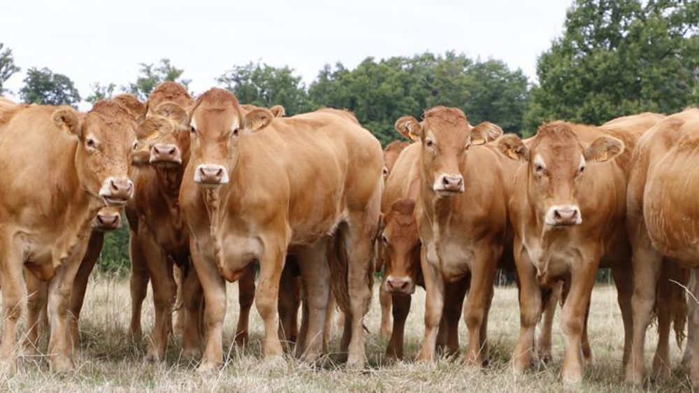 © Hélène Chaligne/GFA